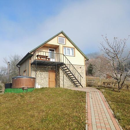 Cottage Panorama Karpat Volosyanka  Luaran gambar